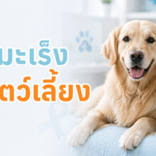 อาการ แนวทางการรักษาโรคมะเร็ง