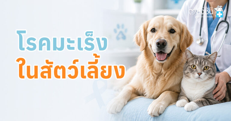 อาการ แนวทางการรักษาโรคมะเร็ง