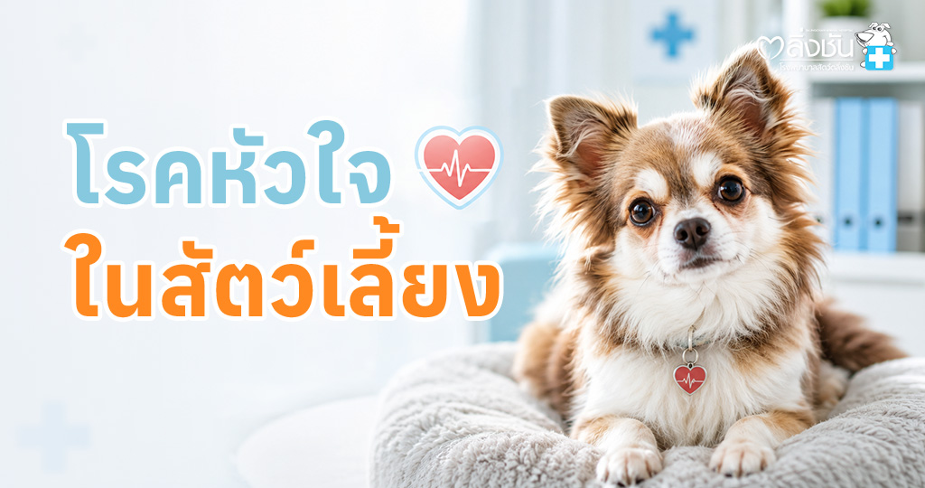 โรคหัวใจที่พบในสุนัขและแมว