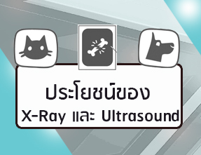 ไอคอนประโยชน์ของxray_ultrasound