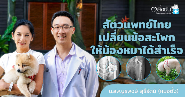 เปลี่ยนข้อสะโพกน้องสุนัข