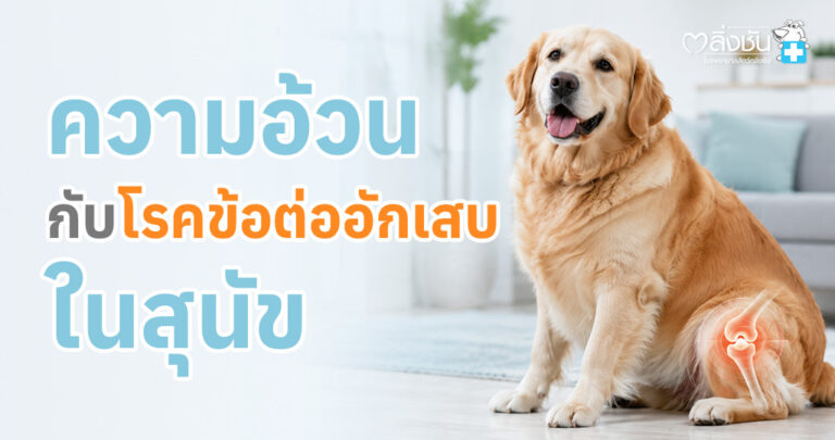 โรคข้อต่ออักเสบเป็นการเสื่อมสภาพของข้อต่อซึ่งส่งผลต่อความเจ็บปวดและการสูญเสียการใช้งานของข้อต่อ
