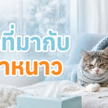 โรคอะไรบ้างที่มาพร้อมกับฤดูหนาว