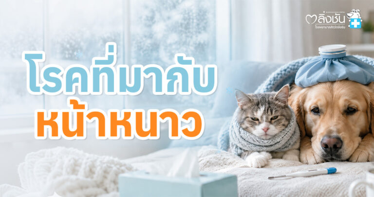 โรคอะไรบ้างที่มาพร้อมกับฤดูหนาว