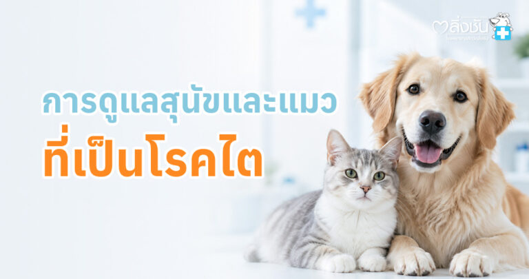 การดูแลจัดการ สุนัขและแมวที่เป็นโรคไต