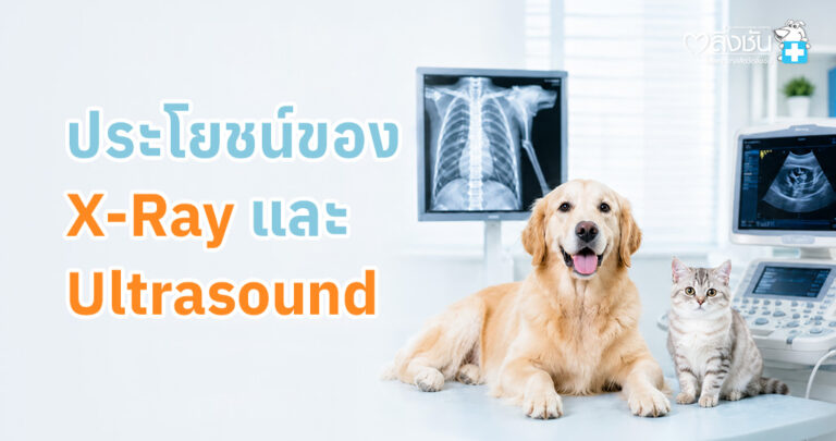 เอกซเรย์ (X-Ray) และอัลตราซาวด์ (Ultrasound) มักถูกนำมาใช้ร่วมกันในการตรวจวินิจฉัยโรค