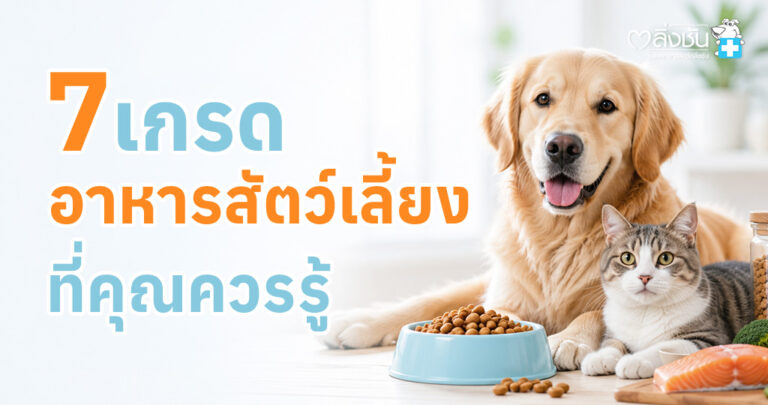 ภาพอาหารเม็ดสำหรับสุนัขและแมว พร้อมข้อมูลเปรียบเทียบเกรดอาหารสัตว์แต่ละประเภท ตั้งแต่เกรดประหยัดถึง Grain Free