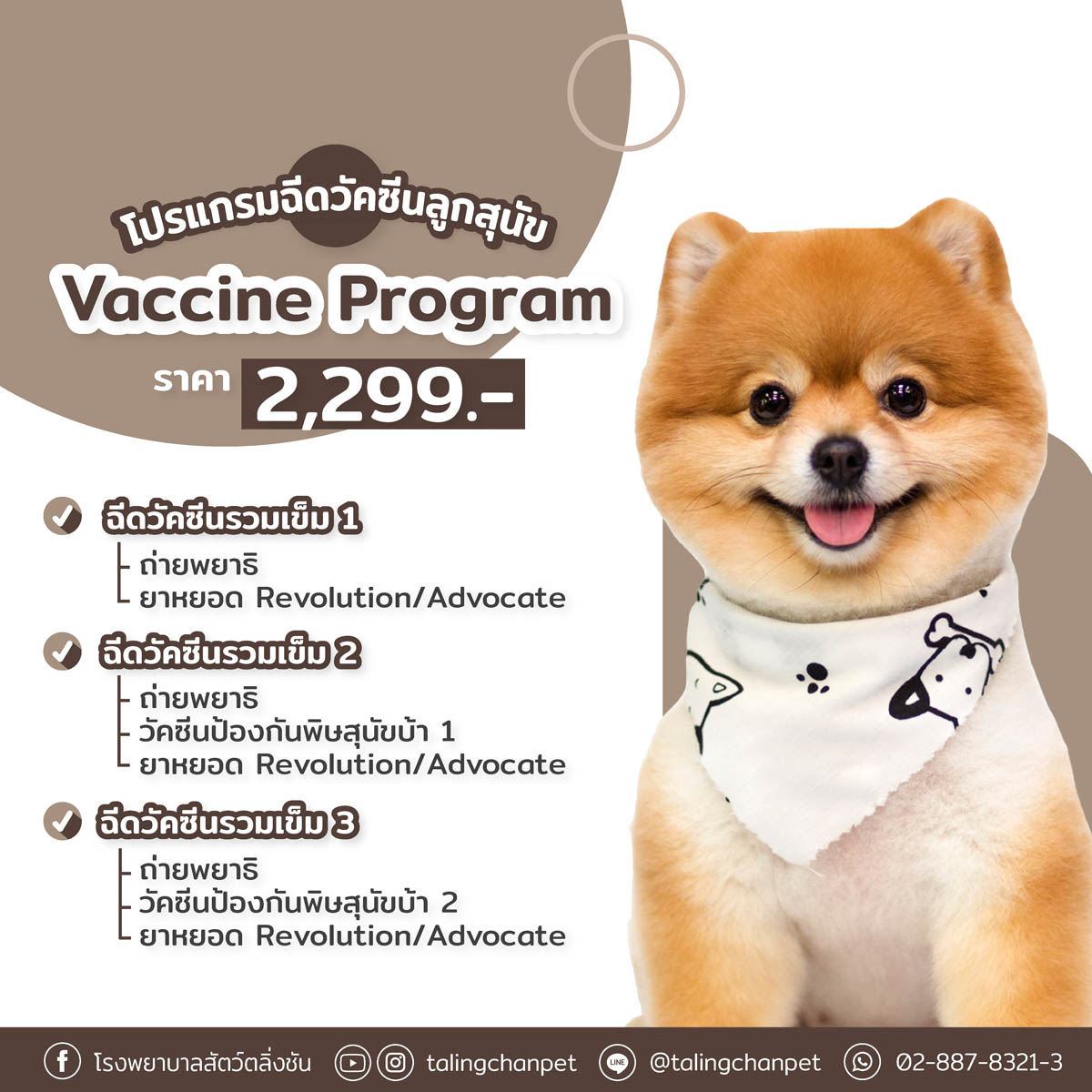 ฉีดวัคซีนลูกสุนัข