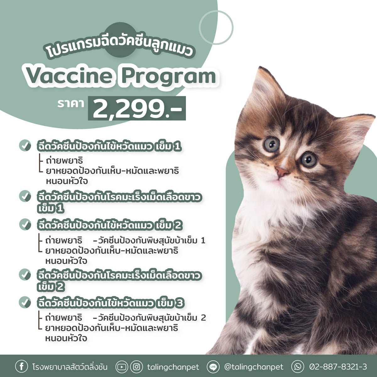 แพ็กเกจฉีดวัคซีนแมว