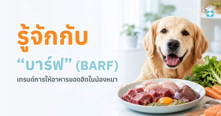 อาหารบาร์ฟสำหรับสุนัข ประกอบด้วยเนื้อดิบ กระดูก และผักผลไม้