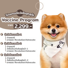 โปรแกรมฉีดวัคซีนลูกสุนัข1