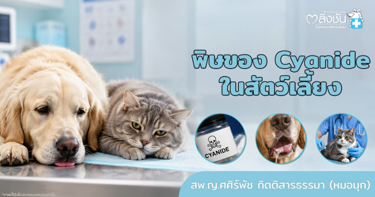 ไซยาไนด์ (cyanide) เป็นสารพิษธรรมชาติที่พบได้ทั้งในสัตว์ แมลง แบคทีเรีย และพืชจำนวนมาก