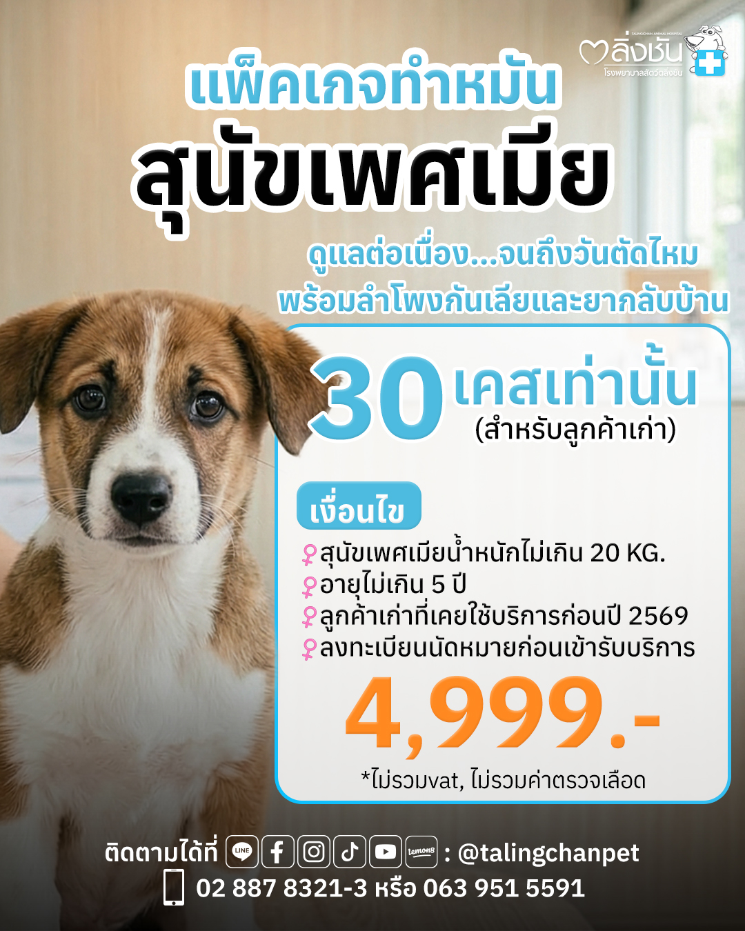ทำหมันสุนัขราคา 4999