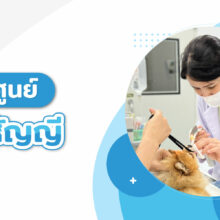 ศูนย์วิสัญญี