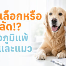 ตรวจภูมิแพ้สุนัข และแมว