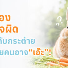 แนะนำ 5 ความเข้าใจผิดเกี่ยวกับการเลี้ยงกระต่าย พร้อมข้อมูลการดูแลที่ถูกต้องเรื่องอาหาร การอาบน้ำ สุขภาพ และการใช้ชีวิต