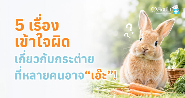 แนะนำ 5 ความเข้าใจผิดเกี่ยวกับการเลี้ยงกระต่าย พร้อมข้อมูลการดูแลที่ถูกต้องเรื่องอาหาร การอาบน้ำ สุขภาพ และการใช้ชีวิต